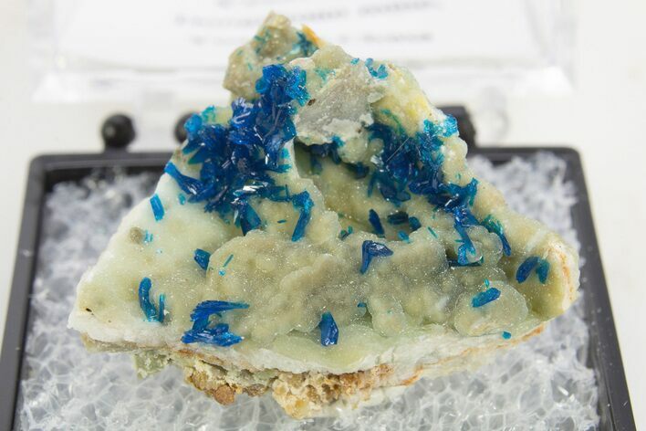 Vibrant Blue Veszelyite Crystals on Hemimorphite - China #337101